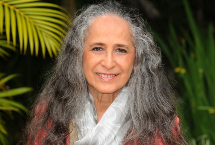 Aniversário de Maria Bethânia: veja 10 novelas com músicas da cantora