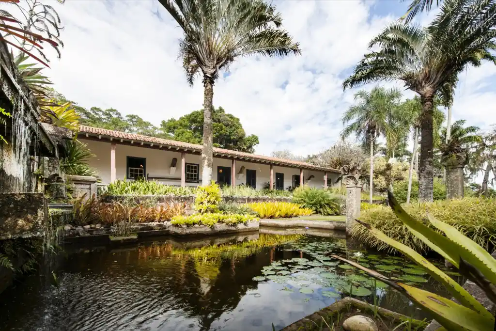 Burle Marx: conheça principais trabalhos do paisagista carioca
